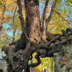 Sanmar 1 Ferien Und Wohnpark Residenz Apartment Meisdorf