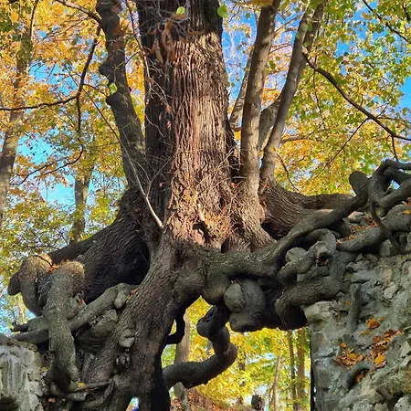 Sanmar 1 Ferien Und Wohnpark Residenz Διαμέρισμα Meisdorf