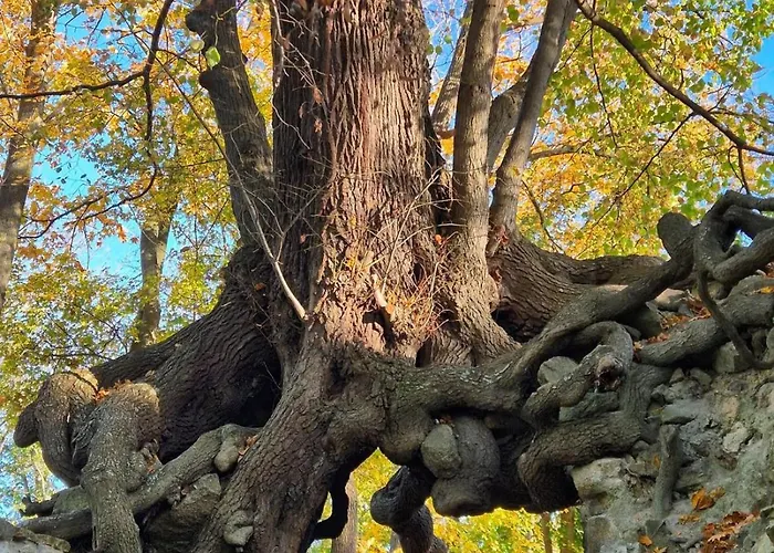 Sanmar 1 Ferien Und Wohnpark Residenz Lägenhet Meisdorf
